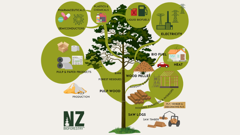 NZ Bio Forestry updated with lines2