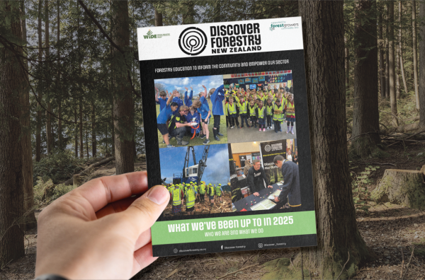 DF Prospectus mockup LR 2